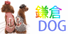 可愛い犬の服、ハンドメイドアクセサリーのお店〜★