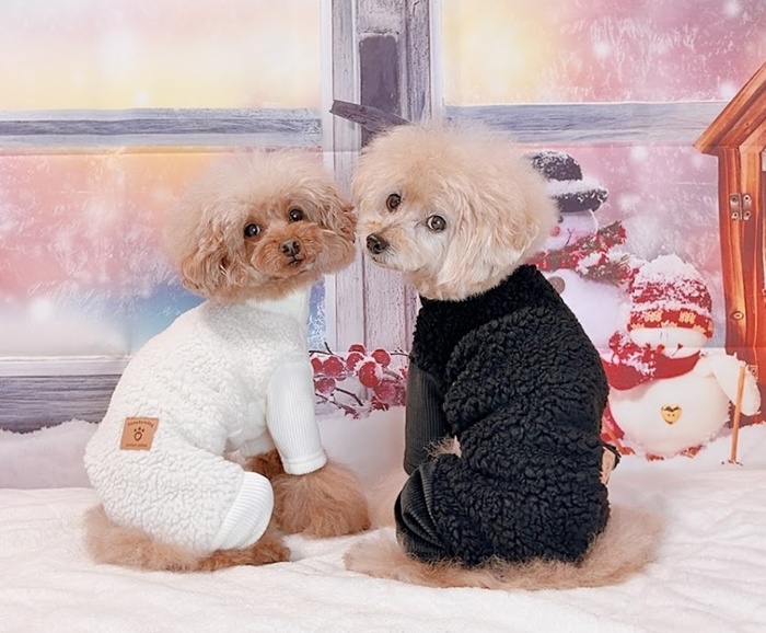 コーデュロイ×ボアつなぎ 可愛い小型犬の洋服通販 鎌倉ドッグ