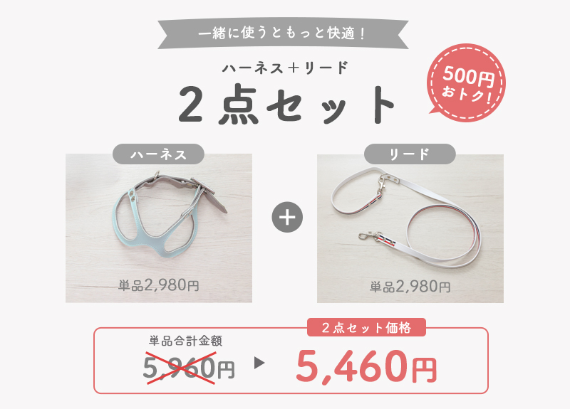 ２点セットでおトク