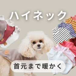 犬服ハイネック特集