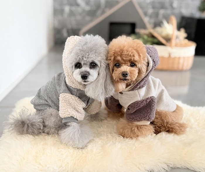 愛犬@ ボアコンビジャケット 可愛い小型犬の洋服通販 鎌倉ドッグ