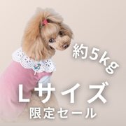 約5kg後のわんちゃんにお得なアイテム