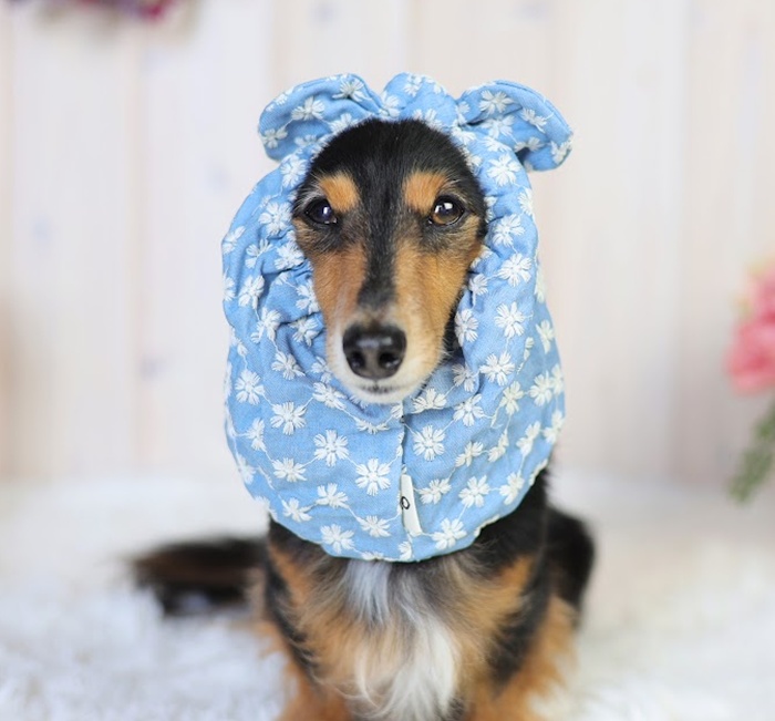 コットンレーススヌード 可愛い小型犬の洋服通販 鎌倉ドッグ