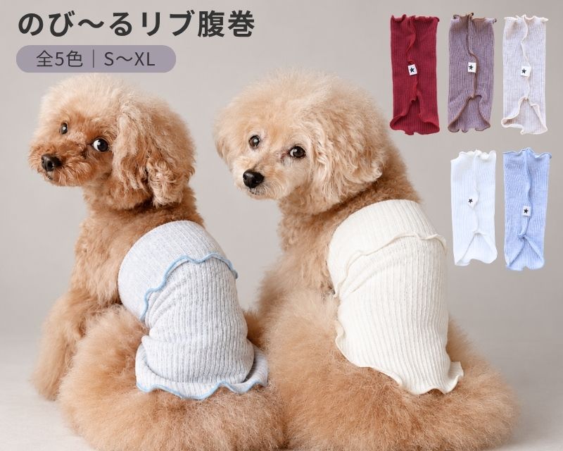 小型犬用 のび〜るリブ腹巻 全5色 S〜XL 着用イメージ