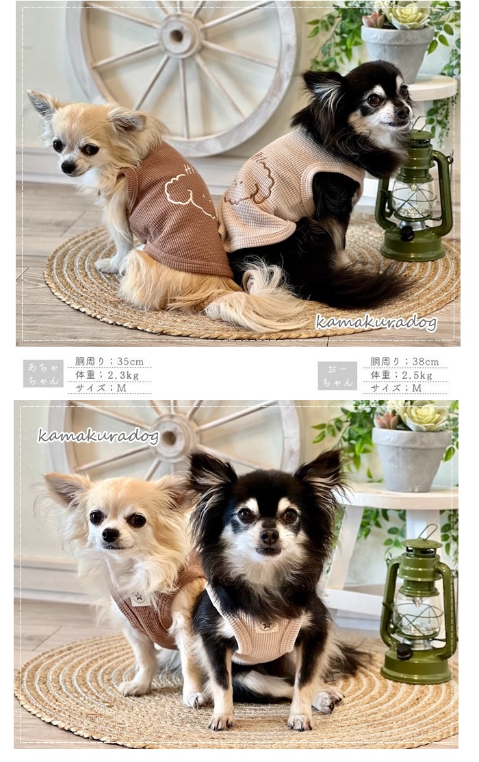可愛い小型犬の洋服通販 鎌倉ドッグ ドギーサーマルニット