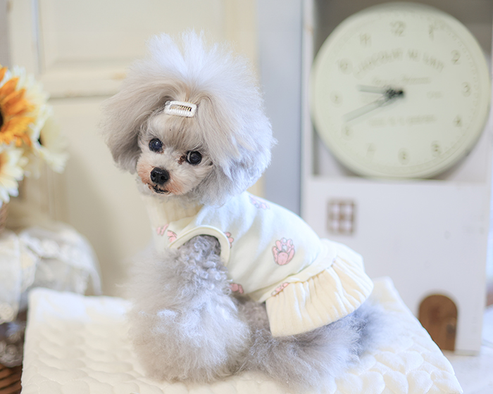 メルティアニマルトップス・ワンピ 可愛い小型犬の洋服通販 鎌倉ドッグ