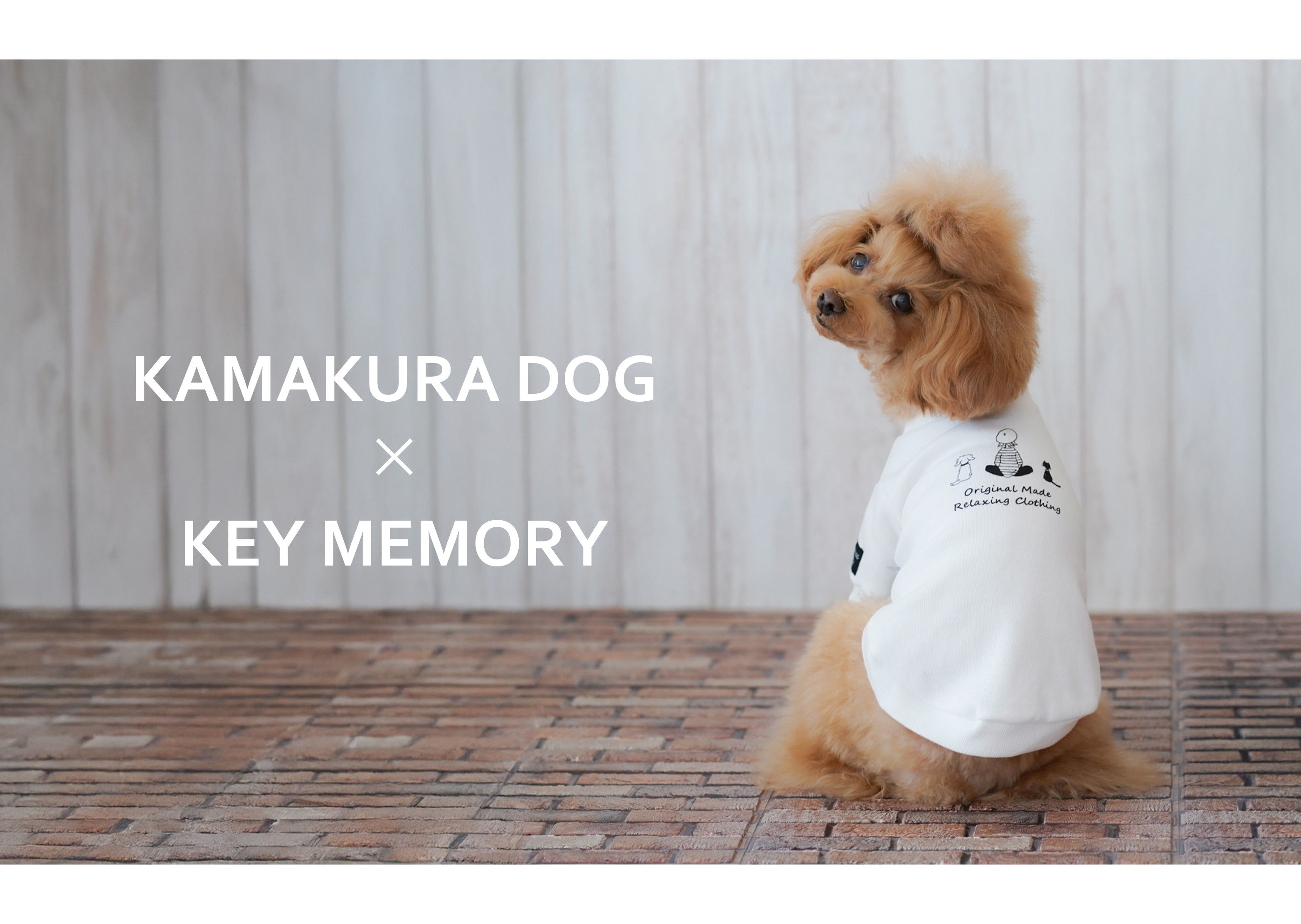 KAMAKURA DOG×KEY MEMORY