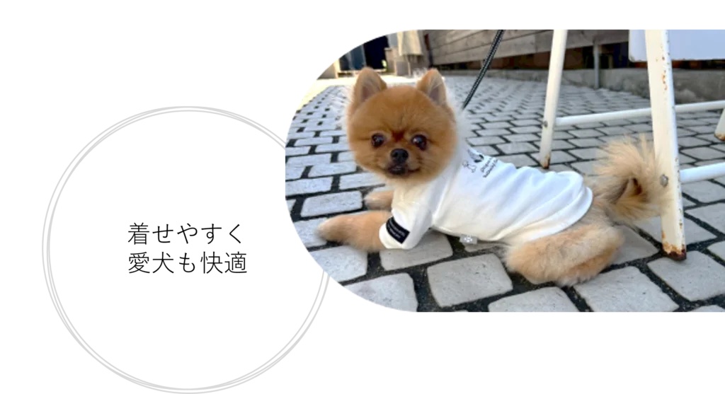 着せやすく愛犬も快適
