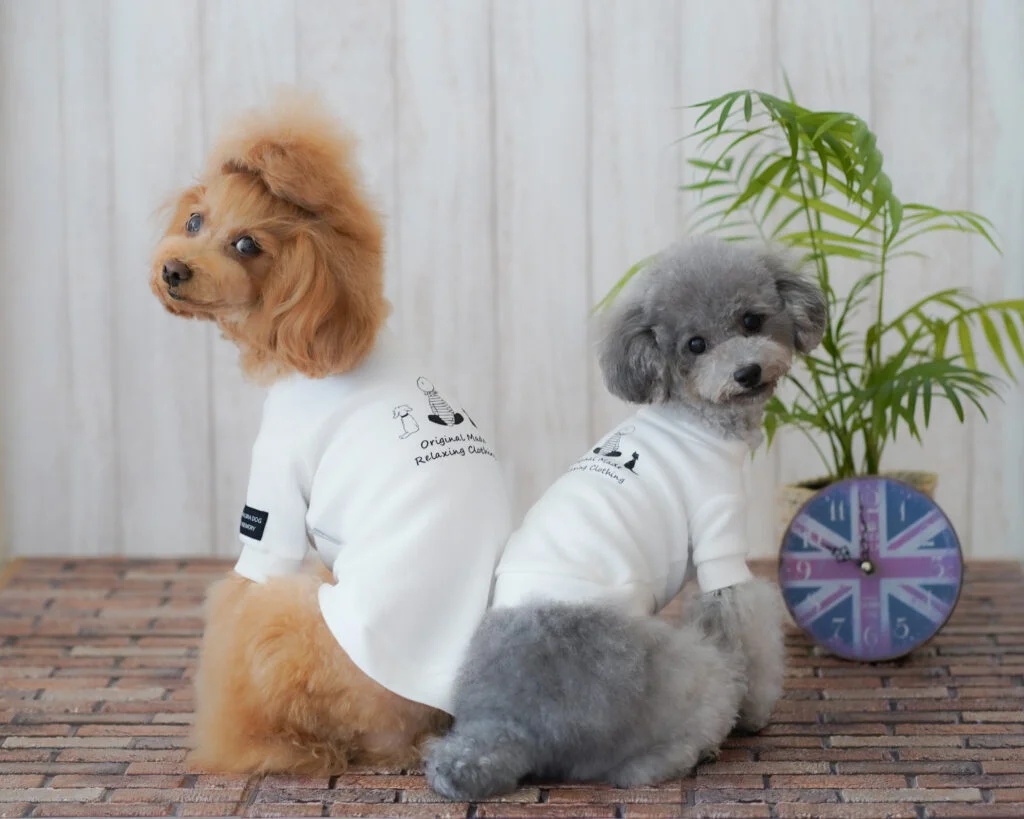 コラボ商品を着た2匹の犬