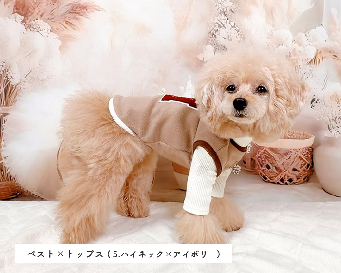 選べる＋おまかせ3点福袋 可愛い小型犬の洋服通販 鎌倉ドッグ