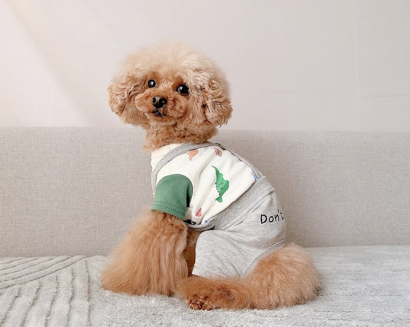 オーガニックやさしい恐竜トップス・ロンパース 可愛い小型犬の洋服