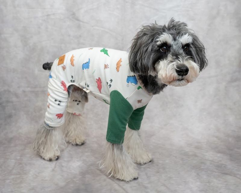 オーガニックやさしい恐竜トップス・ロンパース 可愛い小型犬の洋服