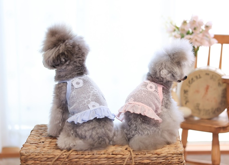 メッシュフラワーショート丈キャミワンピ 可愛い小型犬の洋服通販 鎌倉