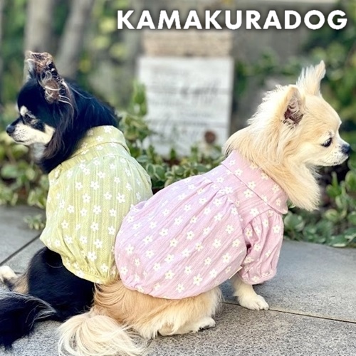 犬服通販の犬の服鎌倉ｄｏｇ 本店公式サイト 可愛い犬の服 犬猫のアクセサリー ドッグウェア グッズの通販 Kamakura Dog