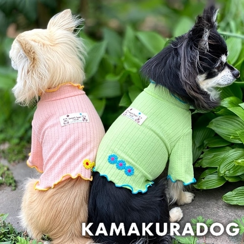 犬服通販の犬の服鎌倉ｄｏｇ 本店公式サイト 可愛い犬の服 犬猫のアクセサリー ドッグウェア グッズの通販 Kamakura Dog