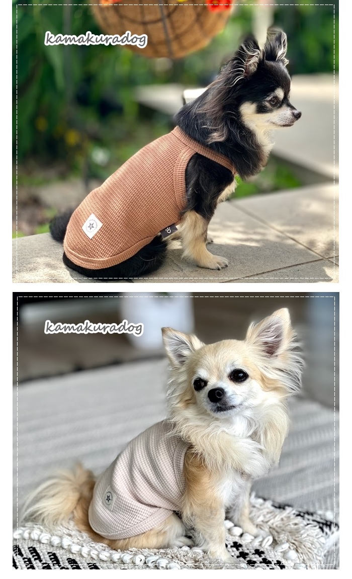可愛い小型犬の洋服通販 鎌倉ドッグ サマーニットキャミ
