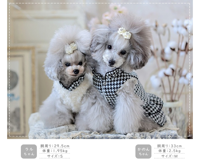 可愛い小型犬の洋服通販 鎌倉ドッグ リバーシブルワンピ