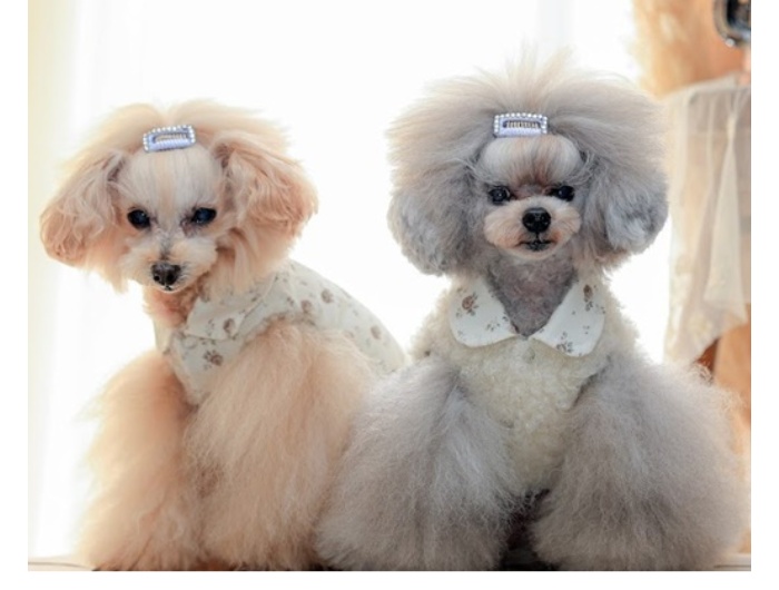 可愛い小型犬の洋服通販 鎌倉ドッグ リバーシブルワンピ