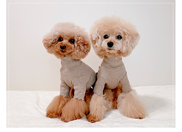 可愛い小型犬の洋服通販 鎌倉ドッグ タグ＆チェックワンピース