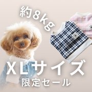 約8kg後のわんちゃんにお得なアイテム