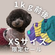 XSサイズ限定セール